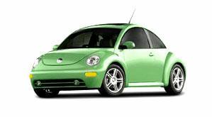 Beetle